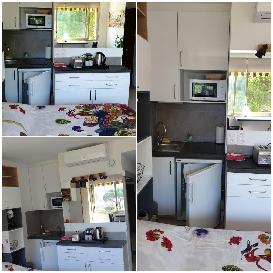 Garden And Beach Sea View Apartment Cannes Mandelieu Esterno foto